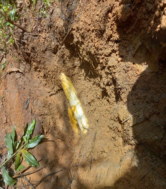 AREA IMPACTED AND SPILL POINT